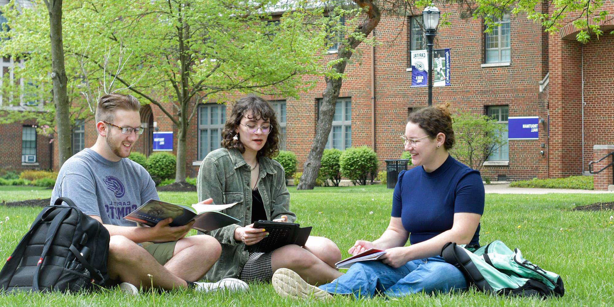 Students Sitting On Lawn In Quad (1)